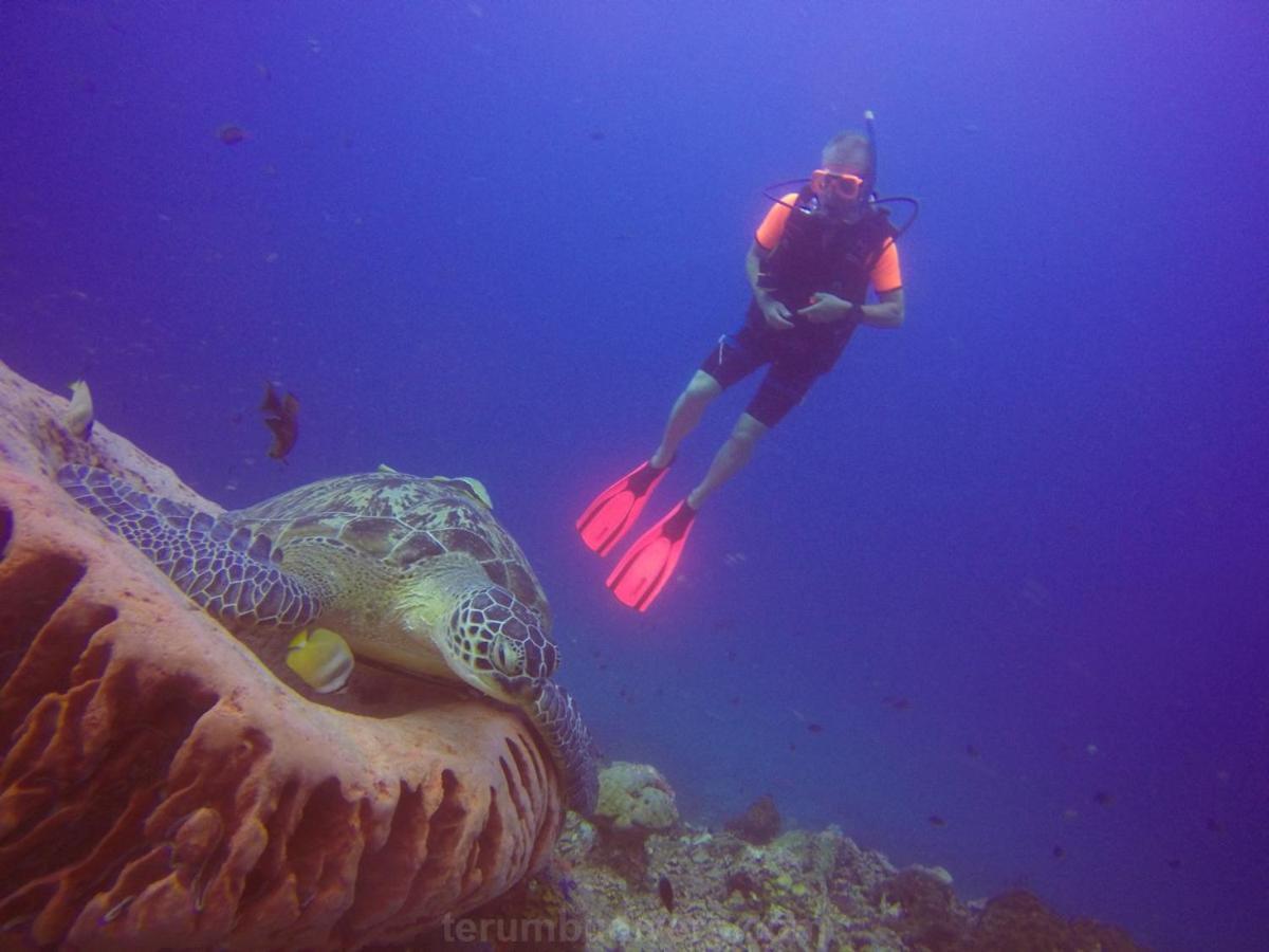 Anema Wellness & Resort Gili Lombok - Diving Center Padi Tanjung  Exterior photo